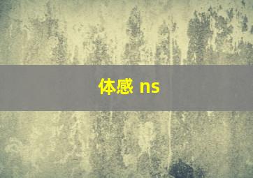 体感 ns